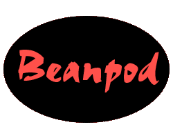 Beanpod camera supports.
